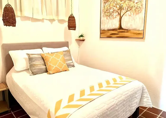 Mimosa Edificio Zihuatanejo
