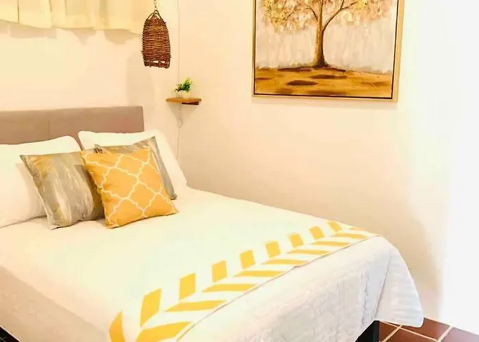 Mimosa Edificio Aparthotel