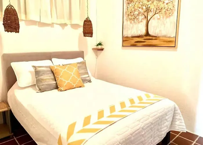 Mimosa Edificio Zihuatanejo